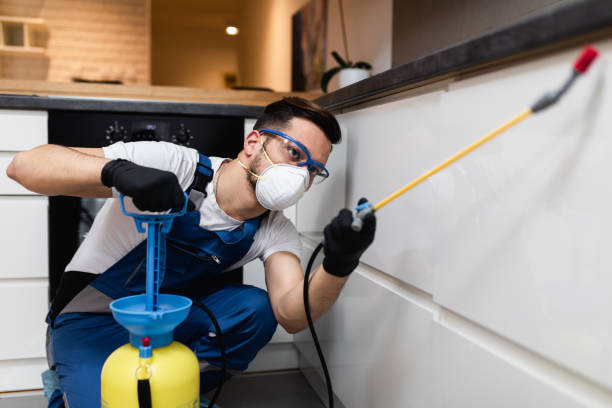 Best Mosquito Control Services  in Oracle, AZ