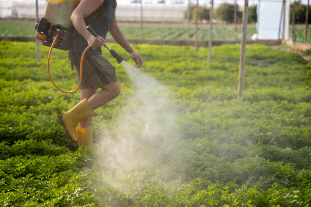 Best Wildlife Control Services  in Oracle, AZ