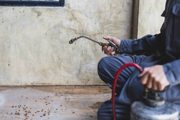 Best Affordable Pest Control Services  in Oracle, AZ